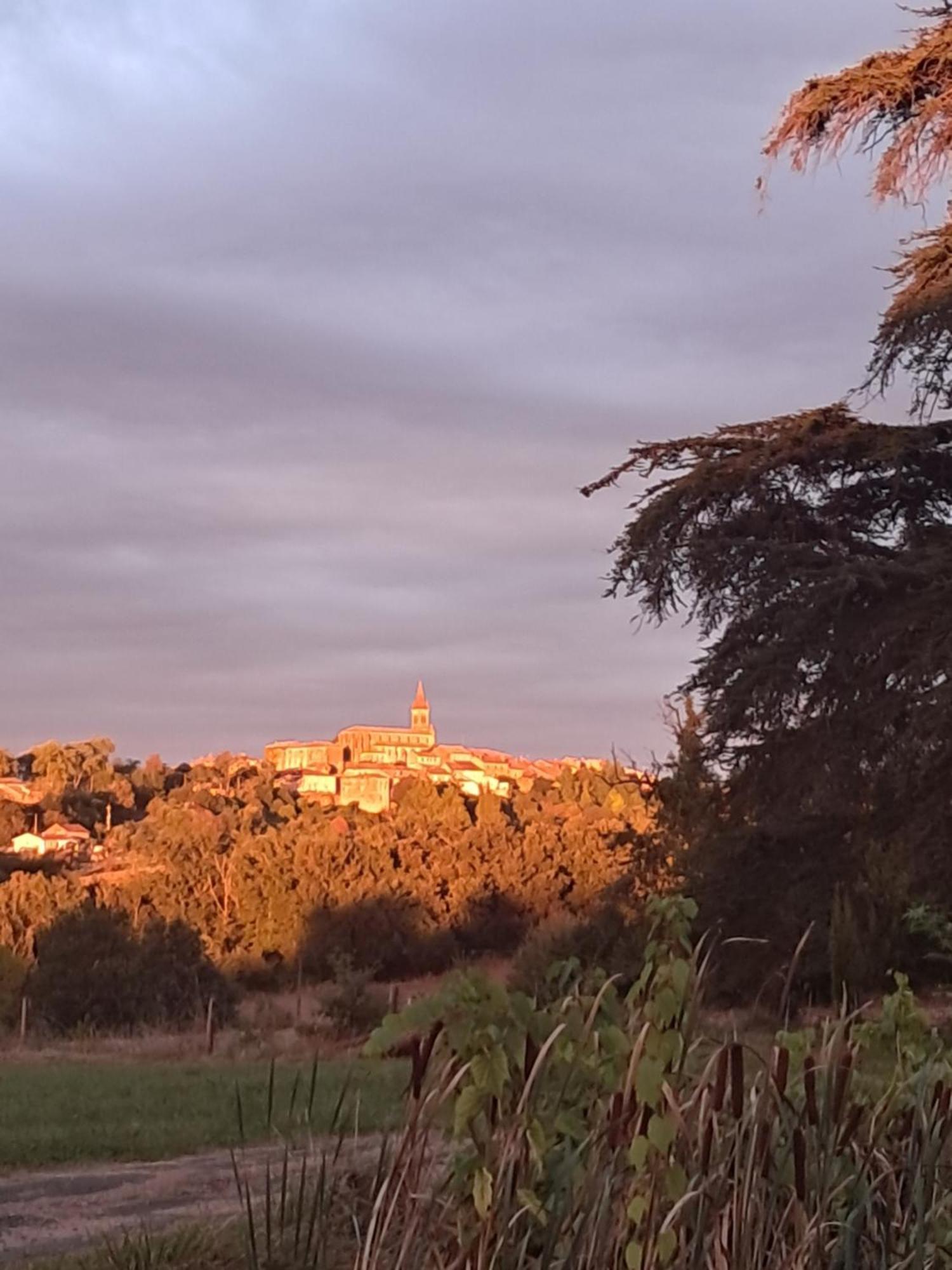 Aux Roses De Cedres Chambre Savane Salvagnac Exterior photo